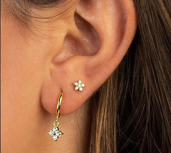 Premium Earings